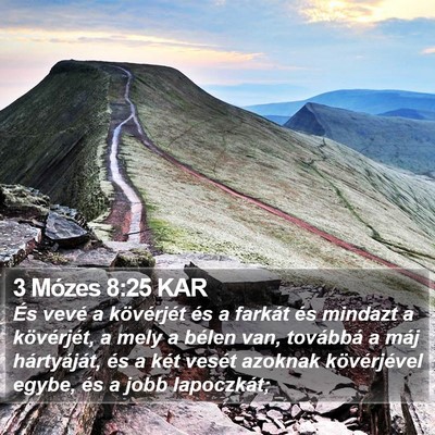 3 Mózes 8:25 KAR Bible Verse Image