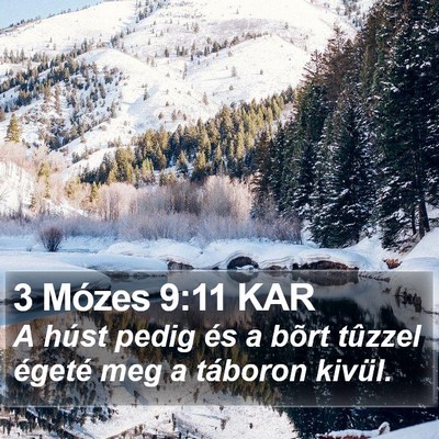 3 Mózes 9:11 KAR Bible Verse Image