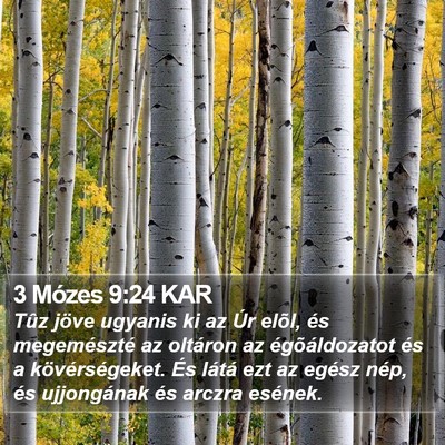 3 Mózes 9:24 KAR Bible Verse Image