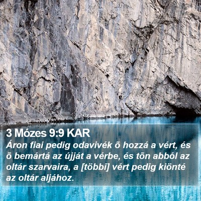 3 Mózes 9:9 KAR Bible Verse Image