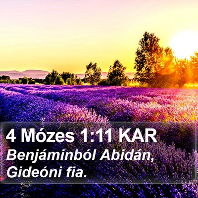 4 Mózes 1:11 KAR Bible Verse Image