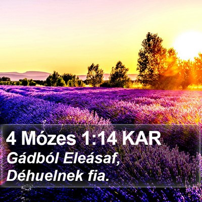 4 Mózes 1:14 KAR Bible Verse Image