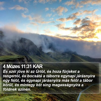 4 Mózes 11:31 KAR Bible Verse Image