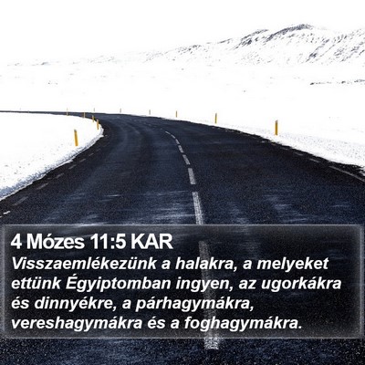 4 Mózes 11:5 KAR Bible Verse Image
