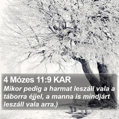 4 Mózes 11:9 KAR Bible Verse Image