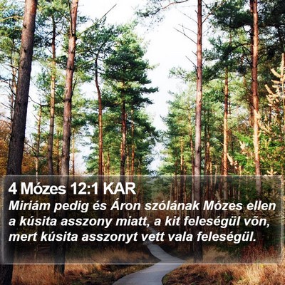4 Mózes 12:1 KAR Bible Verse Image