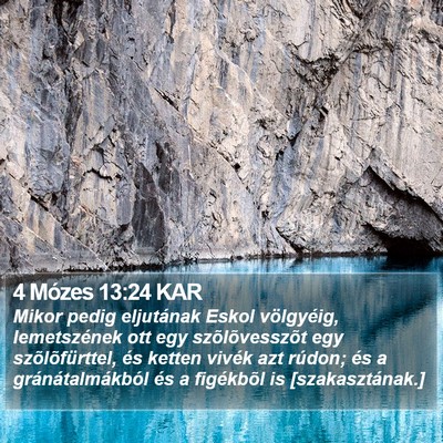 4 Mózes 13:24 KAR Bible Verse Image
