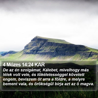 4 Mózes 14:24 KAR Bible Verse Image