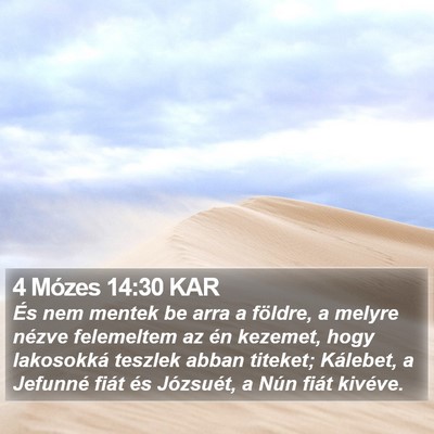 4 Mózes 14:30 KAR Bible Verse Image