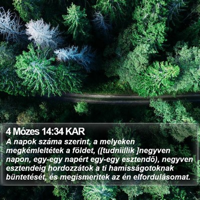 4 Mózes 14:34 KAR Bible Verse Image
