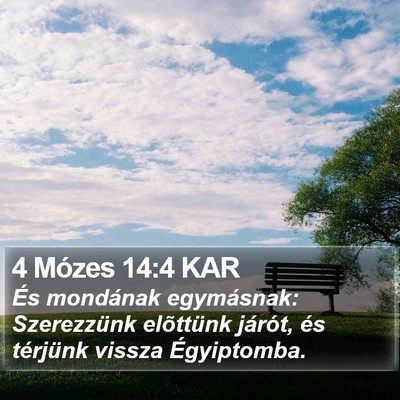 4 Mózes 14:4 KAR Bible Verse Image