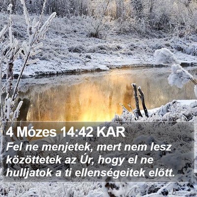 4 Mózes 14:42 KAR Bible Verse Image