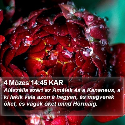 4 Mózes 14:45 KAR Bible Verse Image