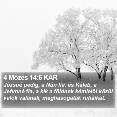 4 Mózes 14:6 KAR Bible Verse Image