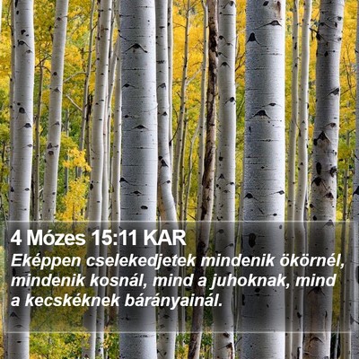 4 Mózes 15:11 KAR Bible Verse Image