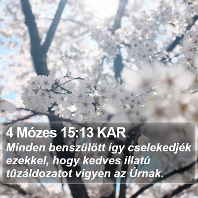 4 Mózes 15:13 KAR Bible Verse Image