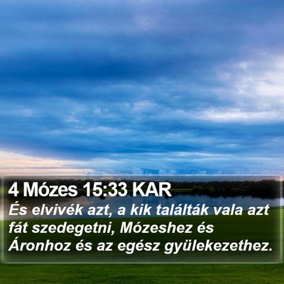4 Mózes 15:33 KAR Bible Verse Image