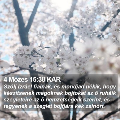 4 Mózes 15:38 KAR Bible Verse Image
