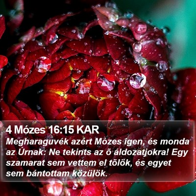 4 Mózes 16:15 KAR Bible Verse Image