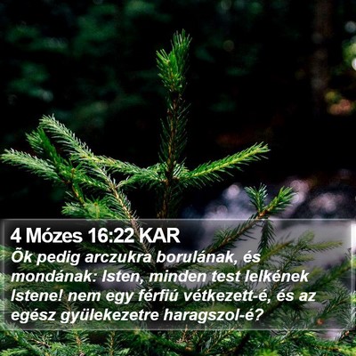 4 Mózes 16:22 KAR Bible Verse Image