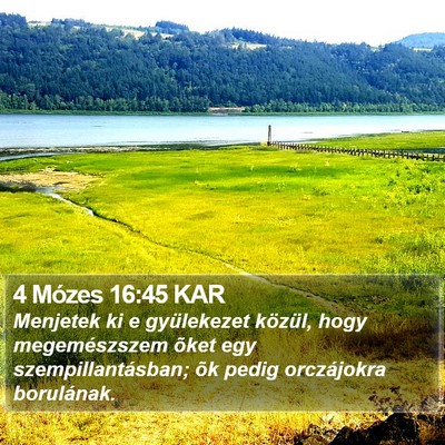 4 Mózes 16:45 KAR Bible Verse Image