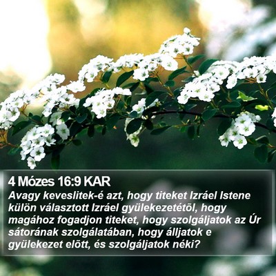 4 Mózes 16:9 KAR Bible Verse Image