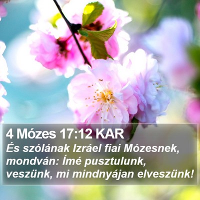 4 Mózes 17:12 KAR Bible Verse Image