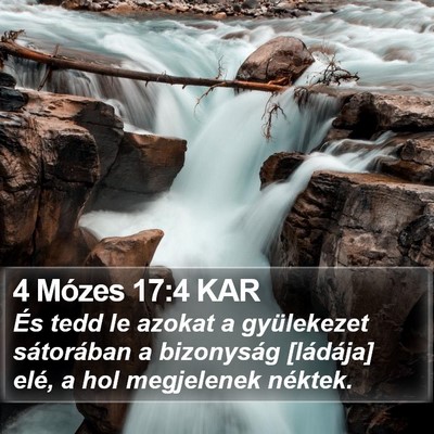 4 Mózes 17:4 KAR Bible Verse Image