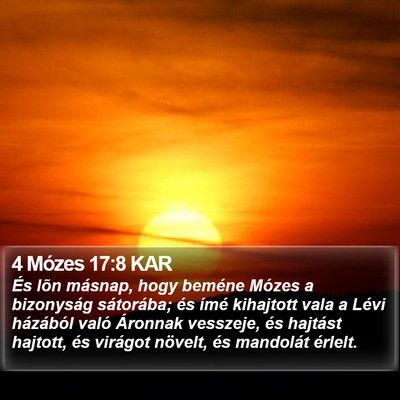 4 Mózes 17:8 KAR Bible Verse Image