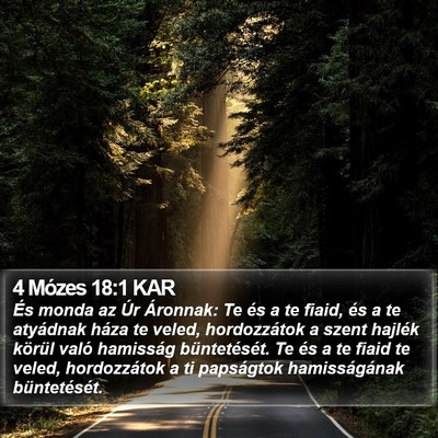 4 Mózes 18:1 KAR Bible Verse Image