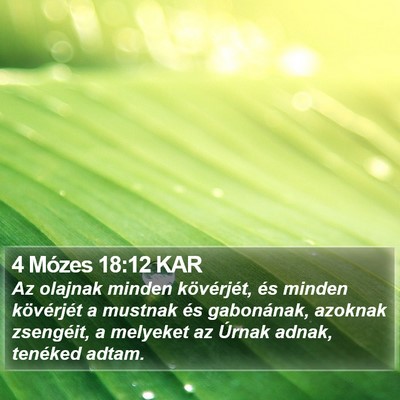 4 Mózes 18:12 KAR Bible Verse Image