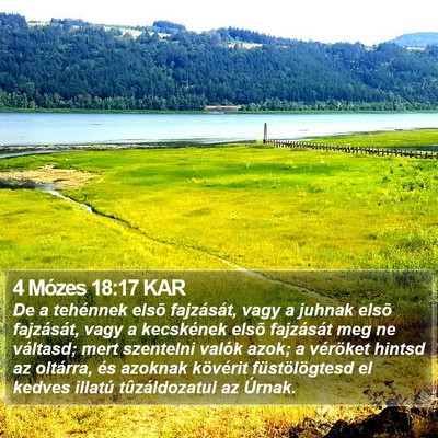 4 Mózes 18:17 KAR Bible Verse Image