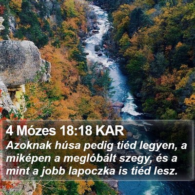 4 Mózes 18:18 KAR Bible Verse Image