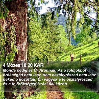 4 Mózes 18:20 KAR Bible Verse Image