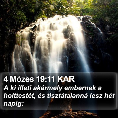 4 Mózes 19:11 KAR Bible Verse Image