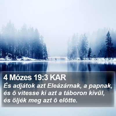 4 Mózes 19:3 KAR Bible Verse Image
