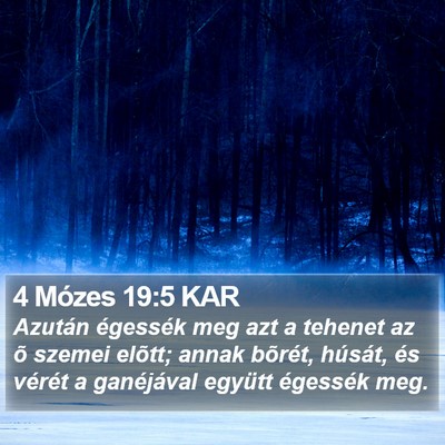 4 Mózes 19:5 KAR Bible Verse Image