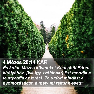 4 Mózes 20:14 KAR Bible Verse Image