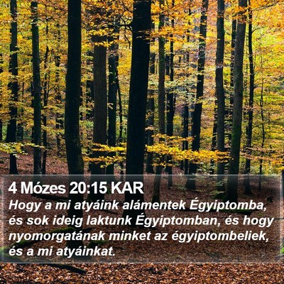 4 Mózes 20:15 KAR Bible Verse Image
