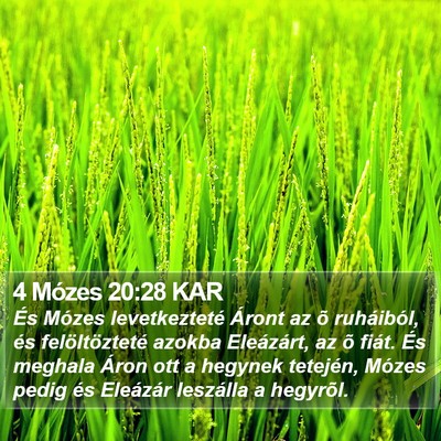 4 Mózes 20:28 KAR Bible Verse Image
