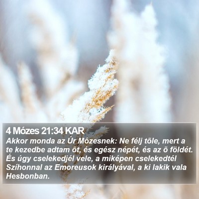 4 Mózes 21:34 KAR Bible Verse Image