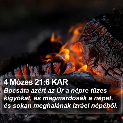 4 Mózes 21:6 KAR Bible Verse Image