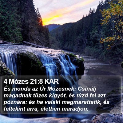 4 Mózes 21:8 KAR Bible Verse Image