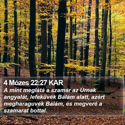 4 Mózes 22:27 KAR Bible Verse Image