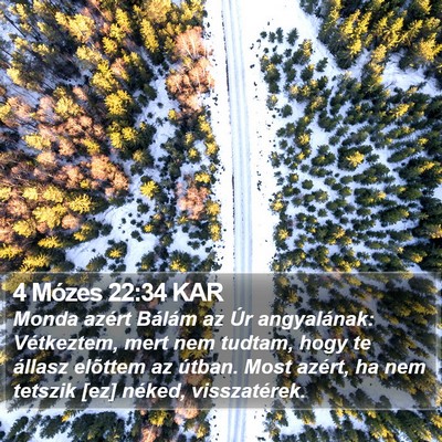 4 Mózes 22:34 KAR Bible Verse Image