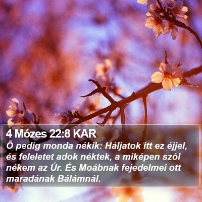 4 Mózes 22:8 KAR Bible Verse Image