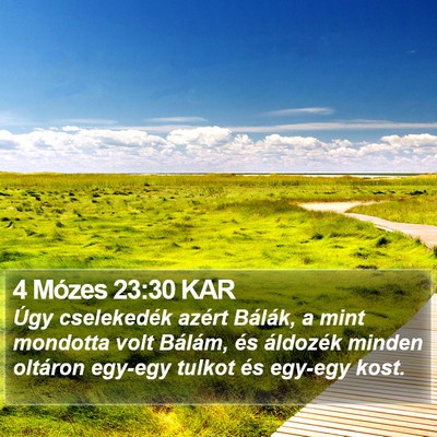 4 Mózes 23:30 KAR Bible Verse Image