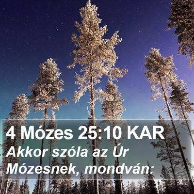 4 Mózes 25:10 KAR Bible Verse Image