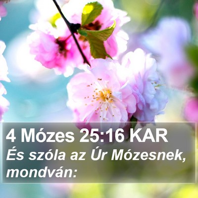 4 Mózes 25:16 KAR Bible Verse Image