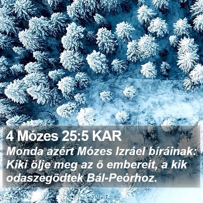 4 Mózes 25:5 KAR Bible Verse Image